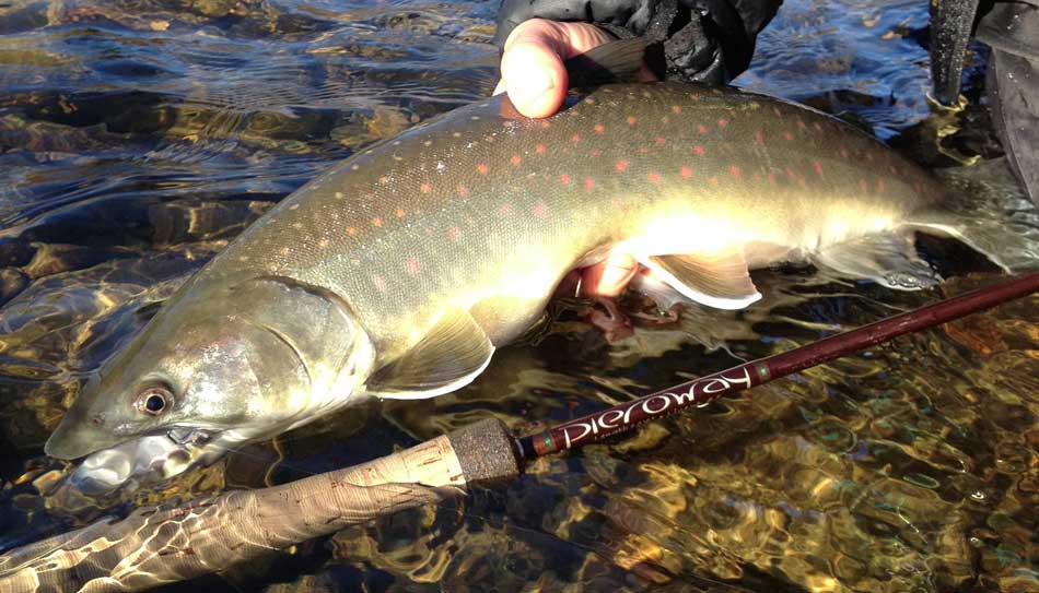 7 hour half day fishing trip